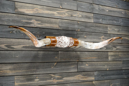 5' 8" Longhorn Wall Mount #281