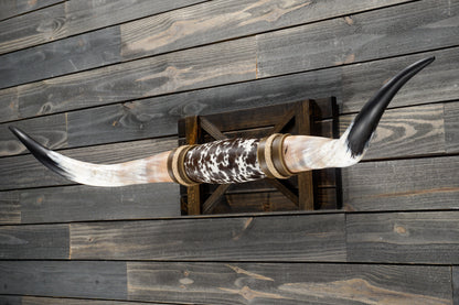 5' 3" Longhorn Wall Mount #301