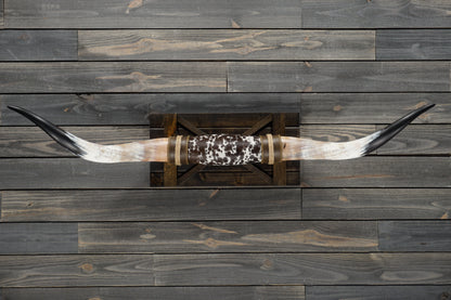 5' 3" Longhorn Wall Mount #301