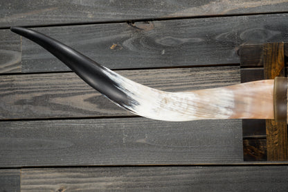 5' 3" Longhorn Wall Mount #301