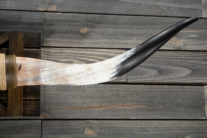 5' 3" Longhorn Wall Mount #301