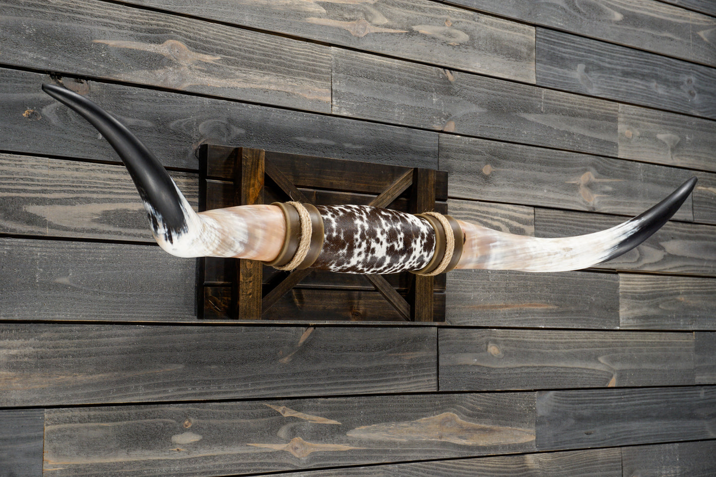 5' 3" Longhorn Wall Mount #301