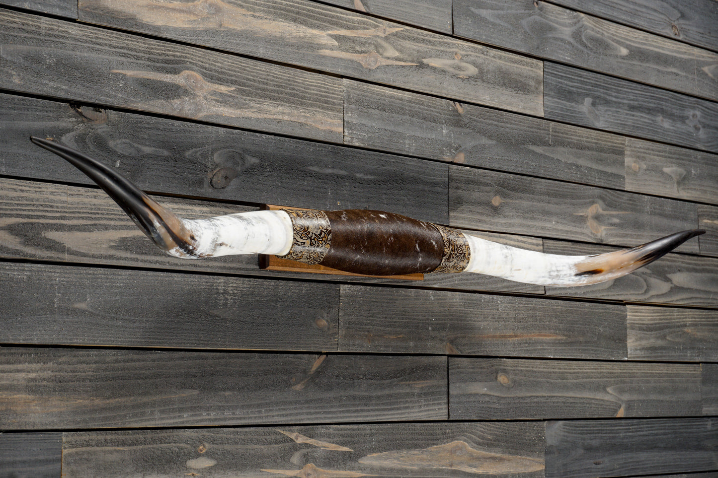 5' 8" Longhorn Wall Mount #344