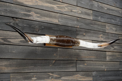 5' 8" Longhorn Wall Mount #344