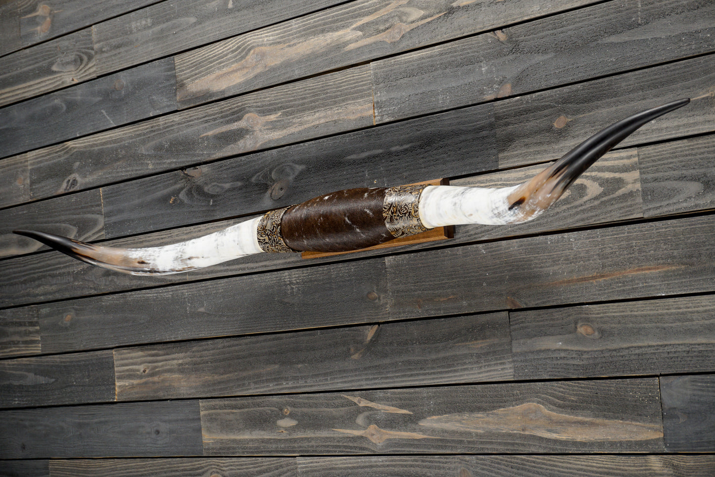 5' 8" Longhorn Wall Mount #344