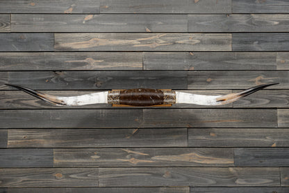 5' 8" Longhorn Wall Mount #344