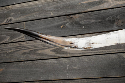 5' 8" Longhorn Wall Mount #344
