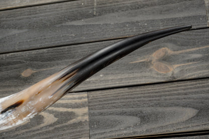5' 8" Longhorn Wall Mount #344