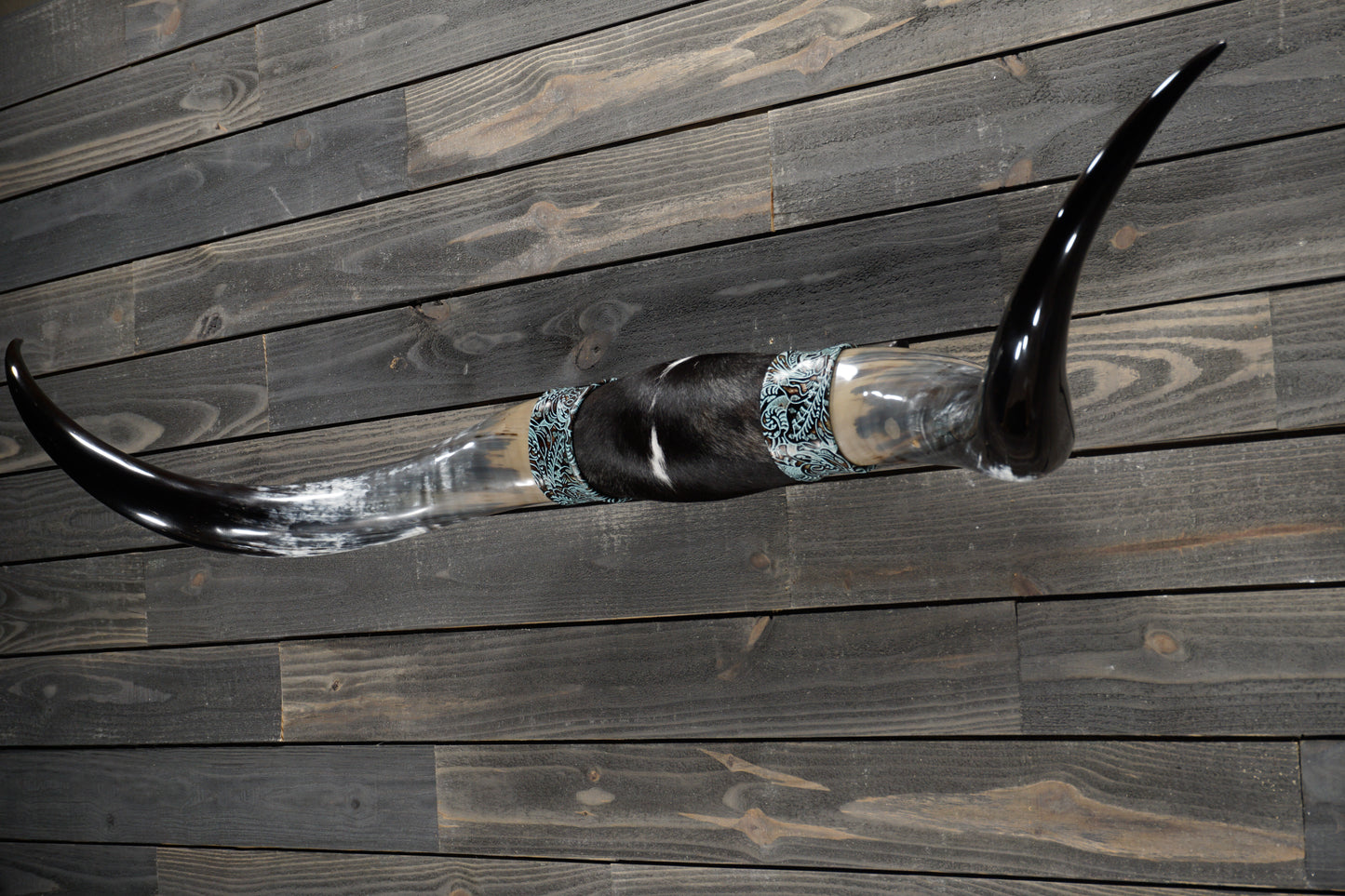 5' 7" Longhorn Wall Mount #362