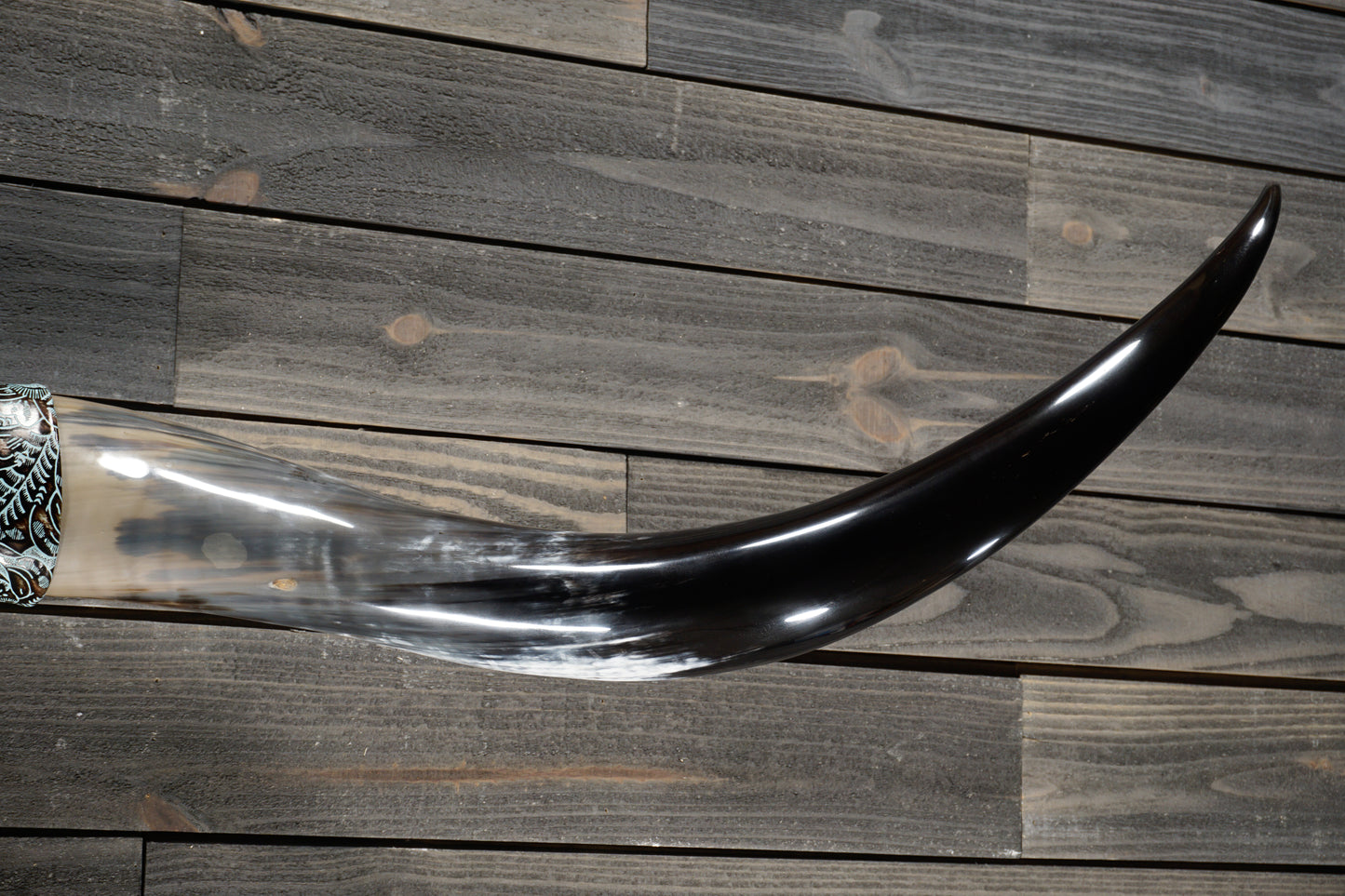 5' 7" Longhorn Wall Mount #362