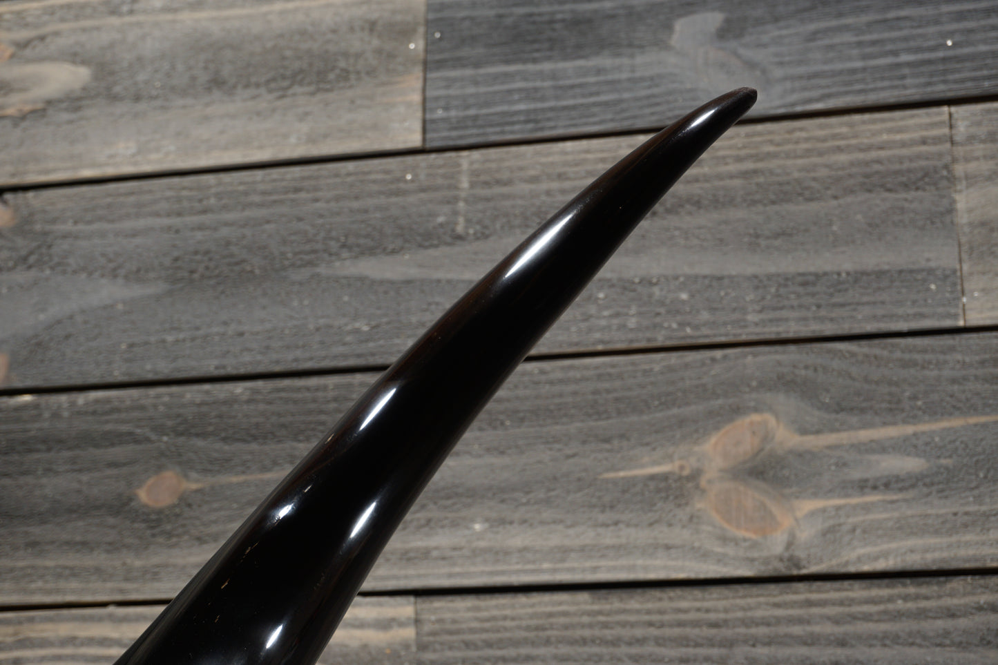 5' 7" Longhorn Wall Mount #362