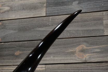 5' 7" Longhorn Wall Mount #362