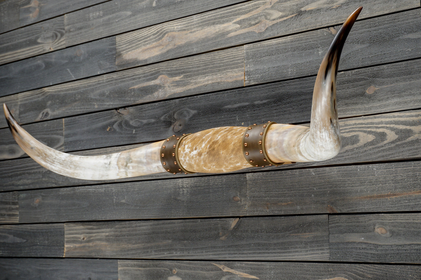 4' 8" Longhorn Wall Mount #374