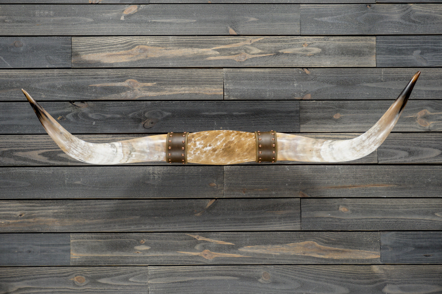 4' 8" Longhorn Wall Mount #374