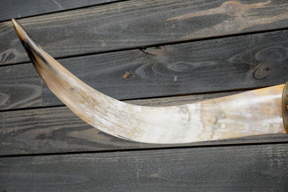 4' 8" Longhorn Wall Mount #374