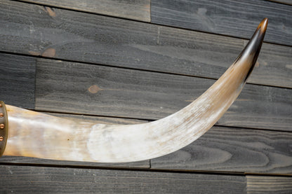 4' 8" Longhorn Wall Mount #374