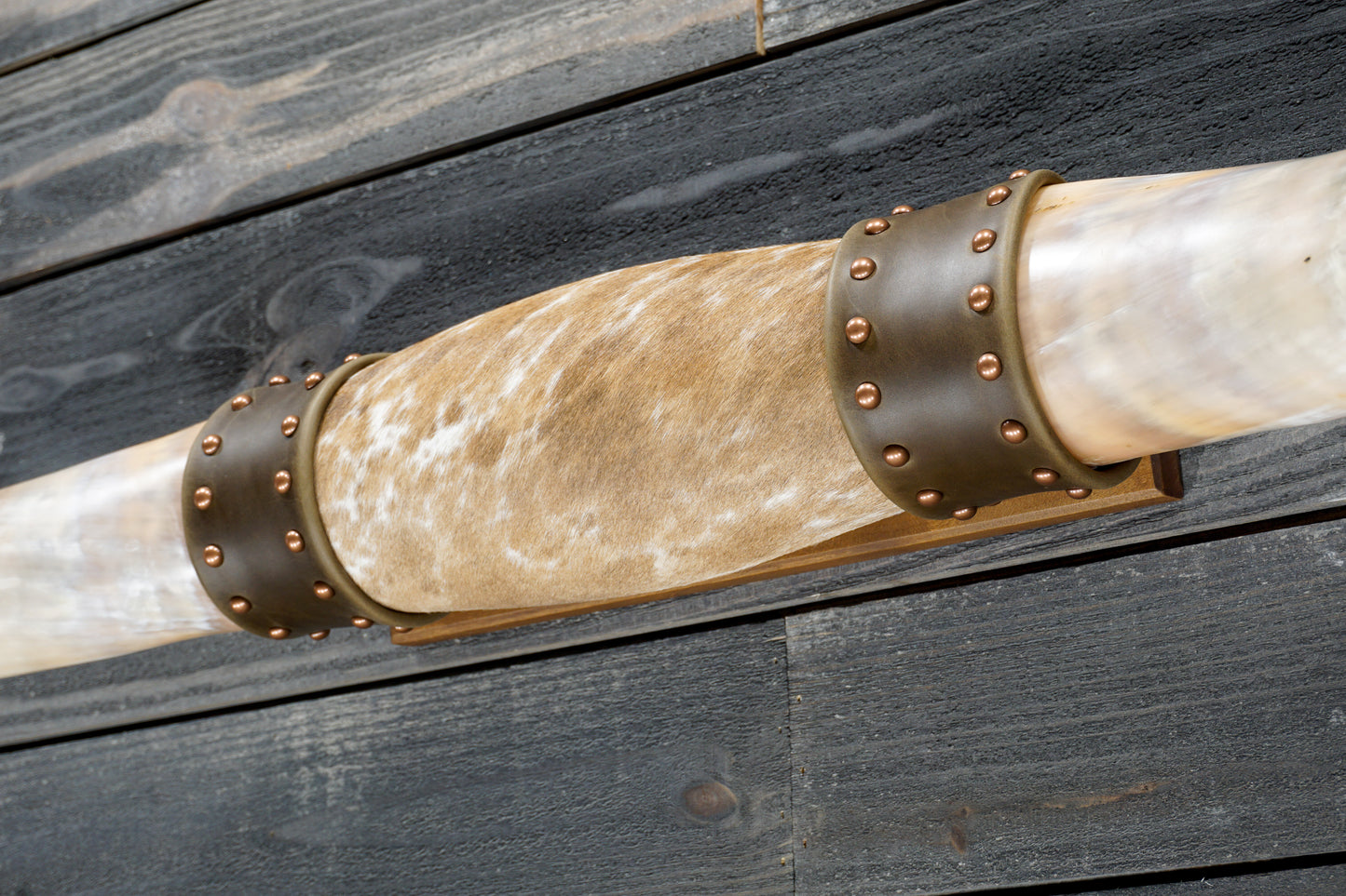 4' 8" Longhorn Wall Mount #374