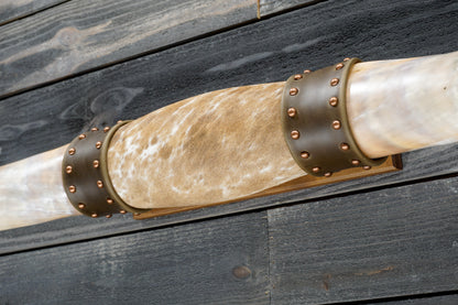 4' 8" Longhorn Wall Mount #374
