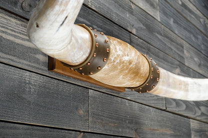 4' 8" Longhorn Wall Mount #374