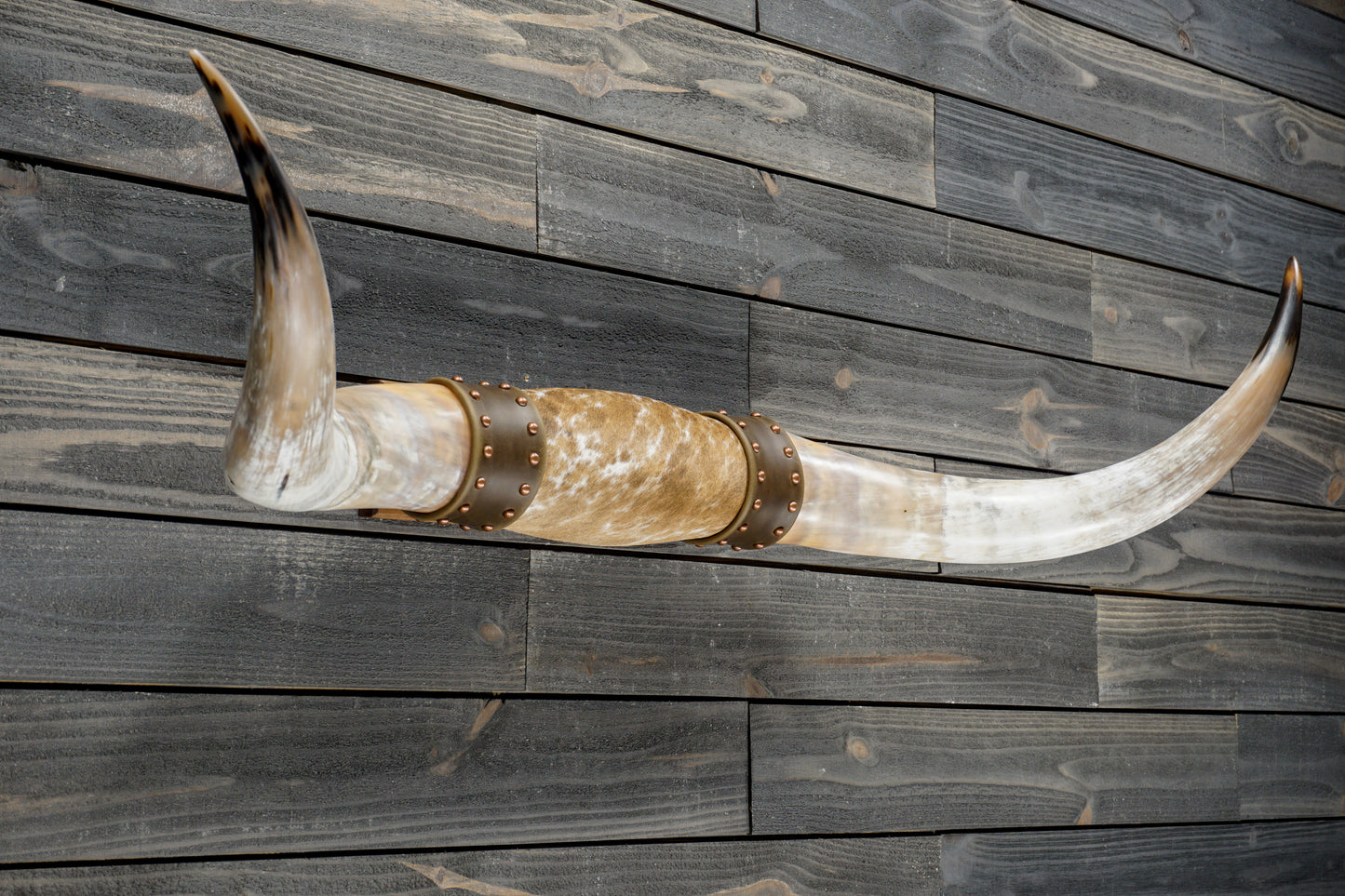 4' 8" Longhorn Wall Mount #374