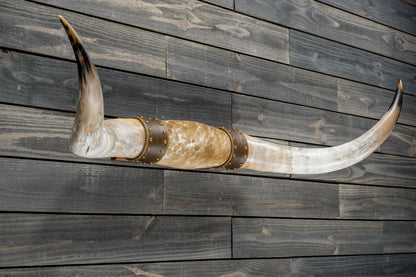 4' 8" Longhorn Wall Mount #374