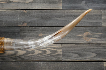 5' 4" Longhorn Wall Mount #280