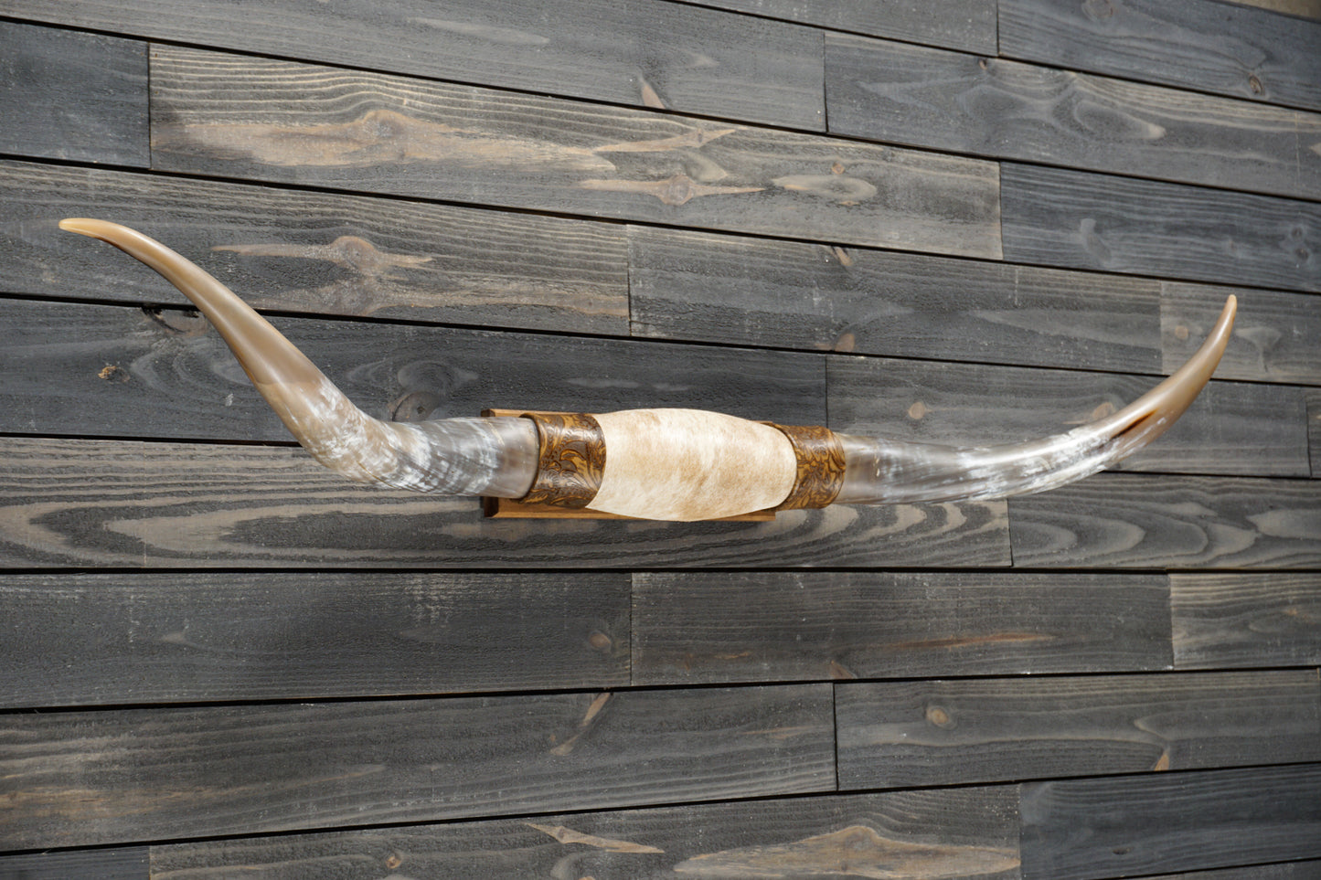 5' 4" Longhorn Wall Mount #280