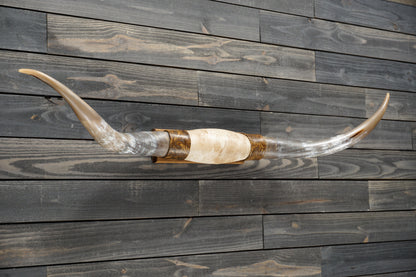 5' 4" Longhorn Wall Mount #280