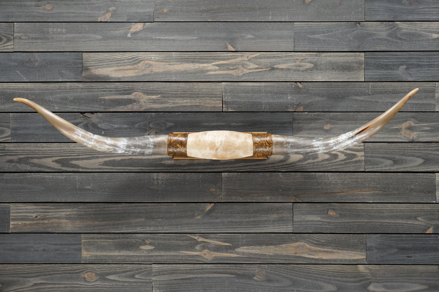 5' 4" Longhorn Wall Mount #280