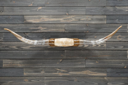 5' 4" Longhorn Wall Mount #280
