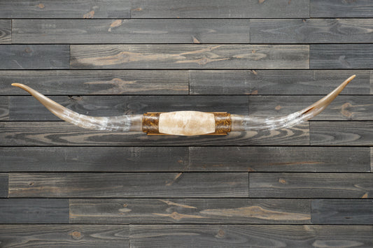 5' 4" Longhorn Wall Mount #280