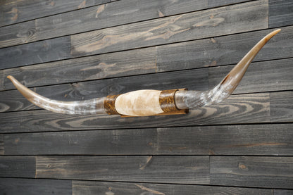 5' 4" Longhorn Wall Mount #280