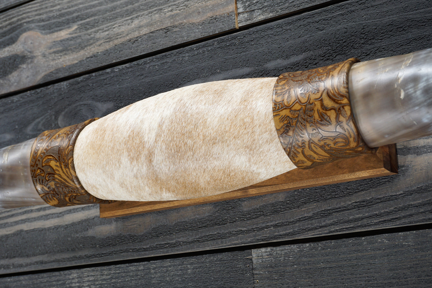 5' 4" Longhorn Wall Mount #280