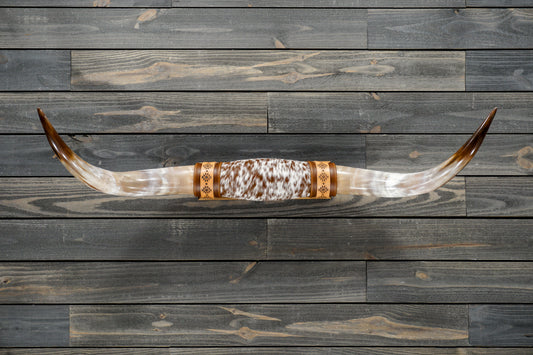 4' 2" Longhorn Wall Mount #285