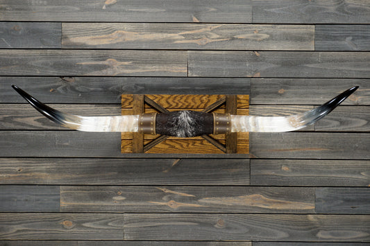 4' 11" Longhorn Wall Mount #289