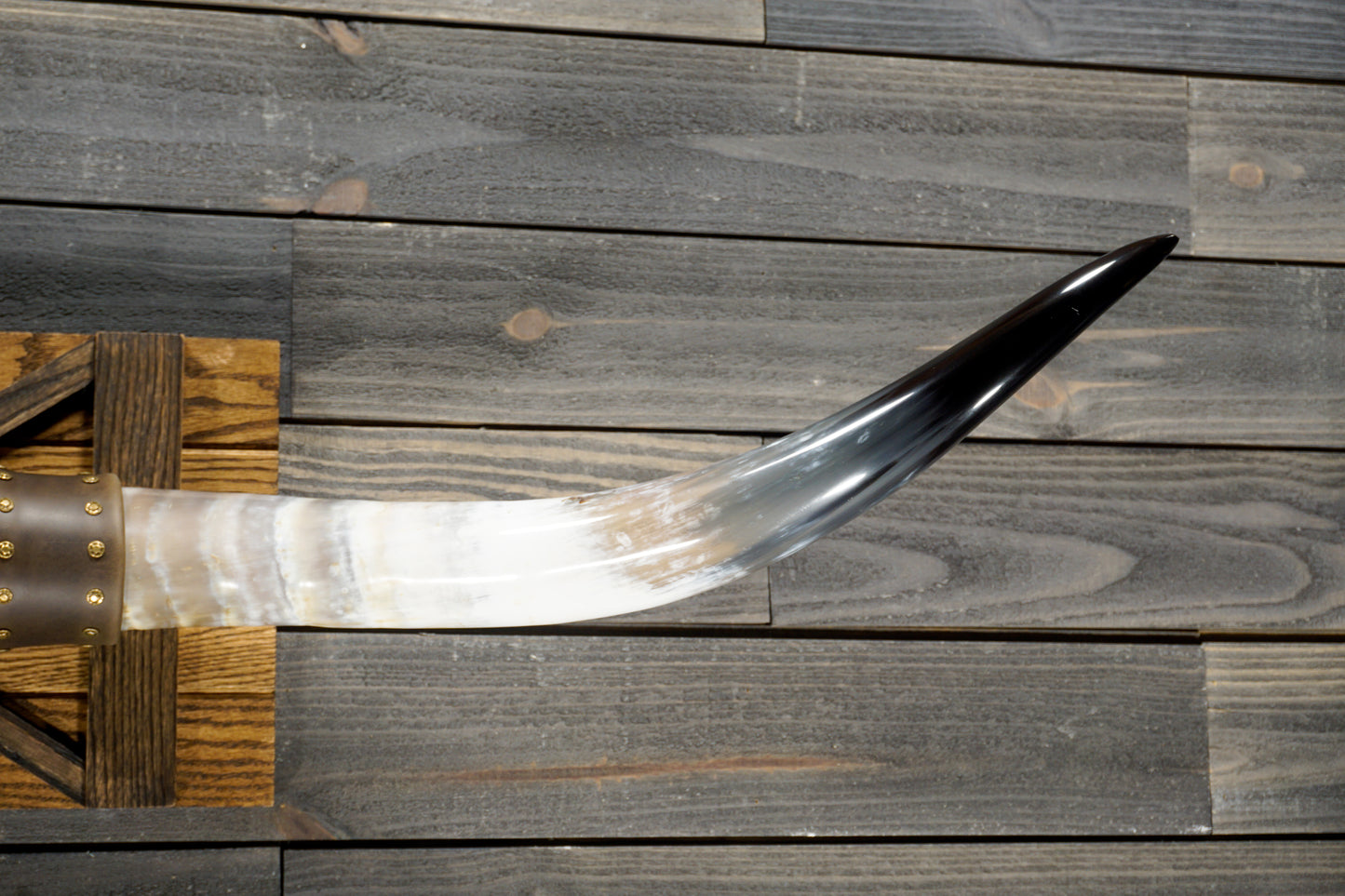 4' 11" Longhorn Wall Mount #289