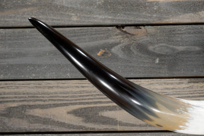 4' 11" Longhorn Wall Mount #289