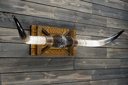 4' 11" Longhorn Wall Mount #289