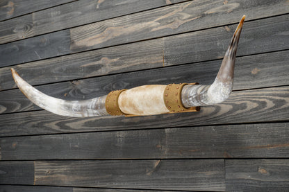 4' 8" Longhorn Wall Mount #297