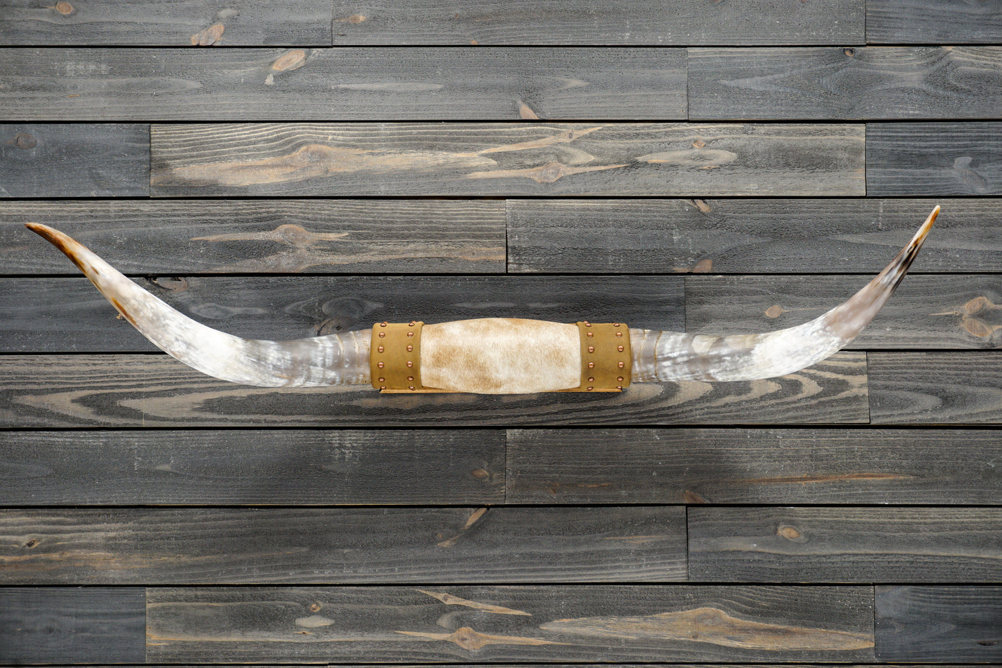 4' 8" Longhorn Wall Mount #297