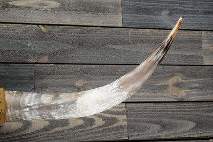4' 8" Longhorn Wall Mount #297
