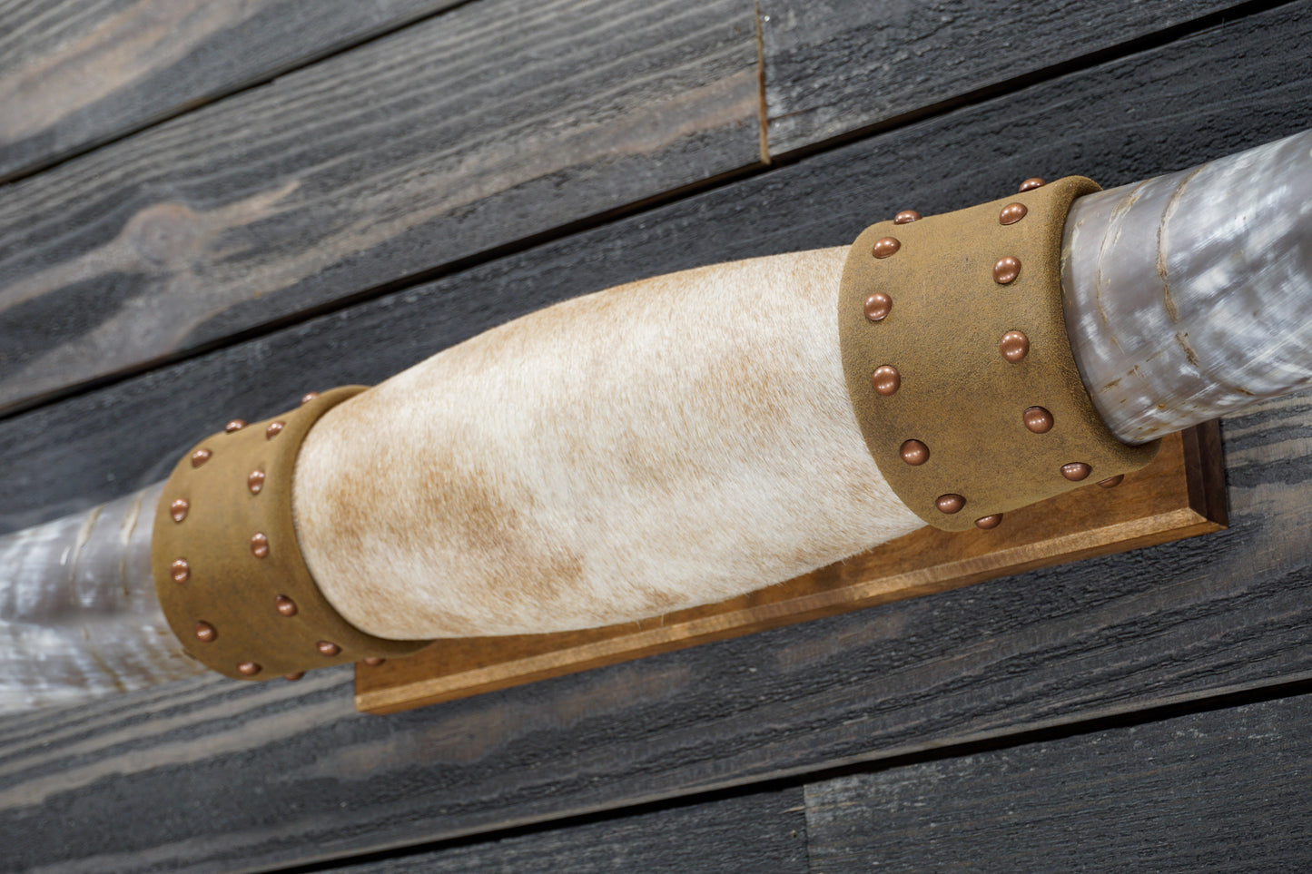 4' 8" Longhorn Wall Mount #297