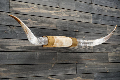 4' 8" Longhorn Wall Mount #297
