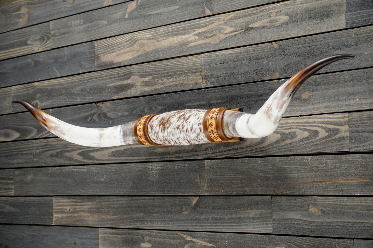 5' 2" Longhorn Wall Mount #300