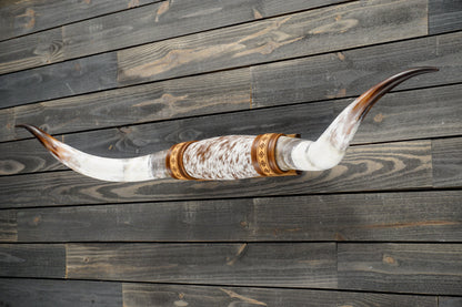 5' 2" Longhorn Wall Mount #300