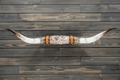 5' 2" Longhorn Wall Mount #300