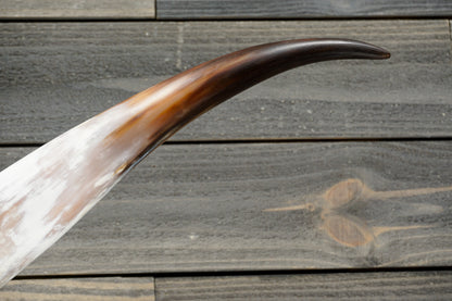 5' 2" Longhorn Wall Mount #300