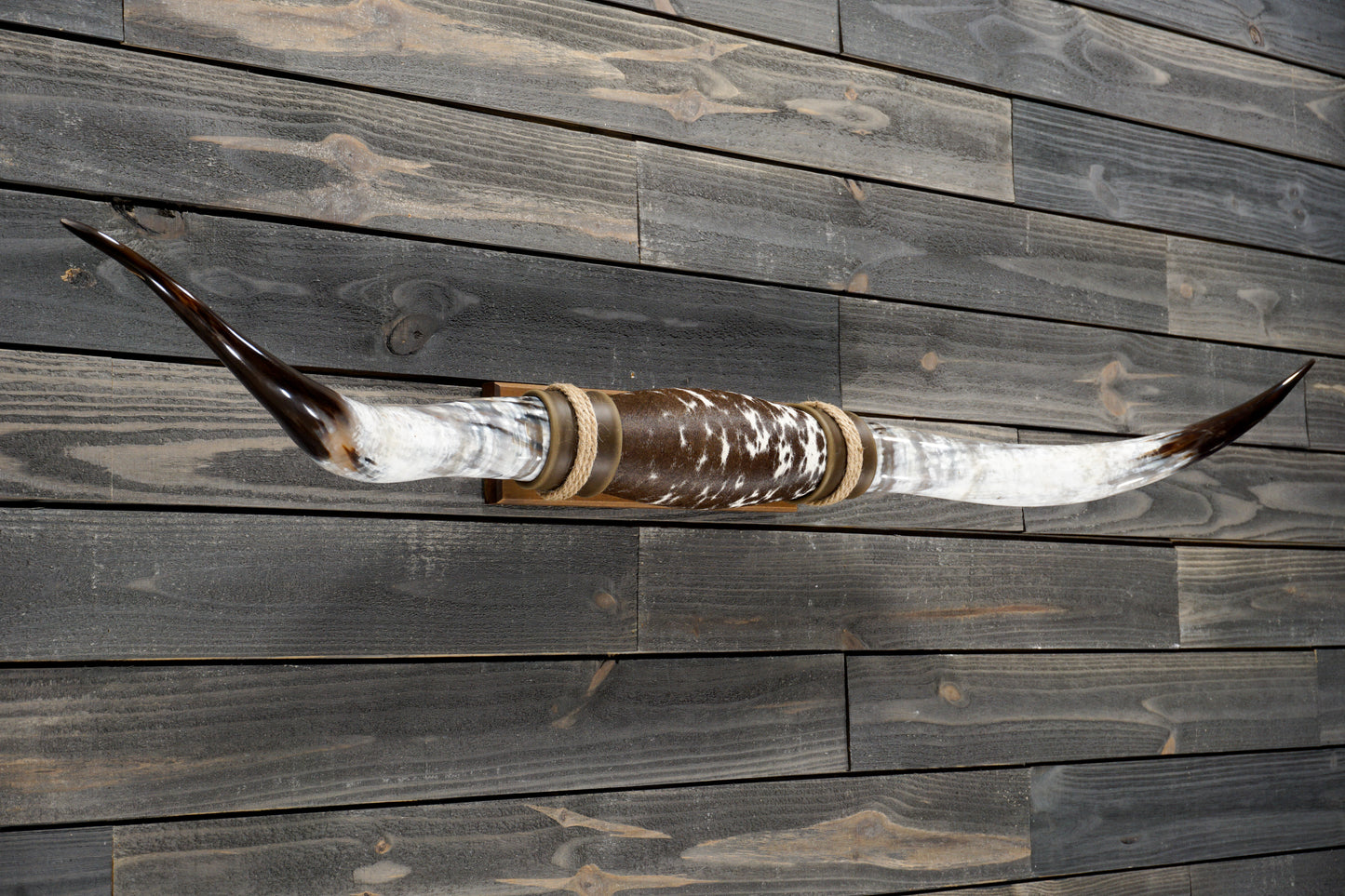 5' 3" Longhorn Wall Mount #316