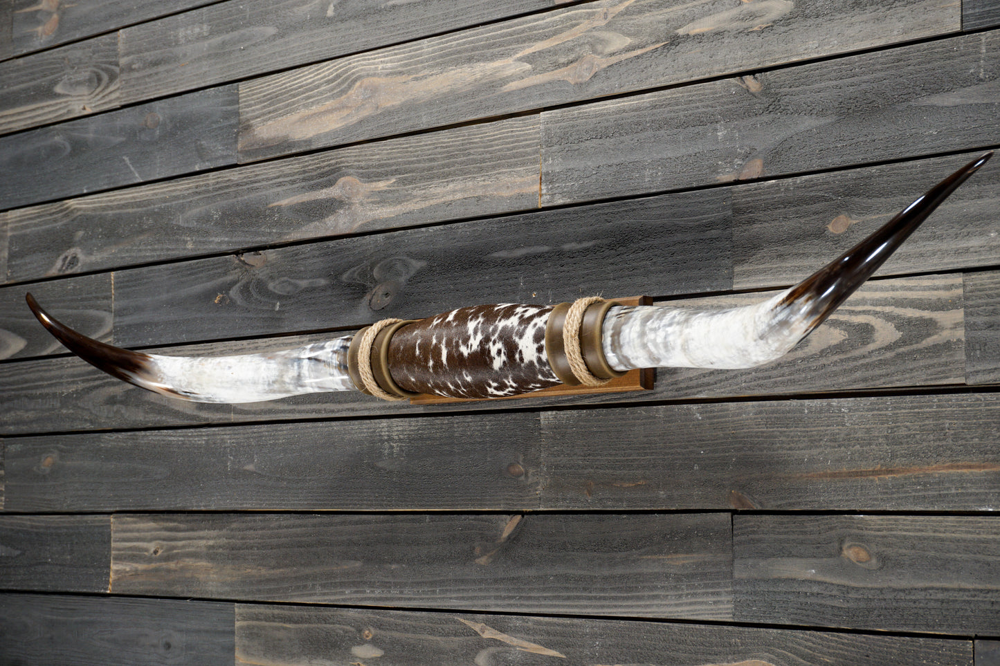 5' 3" Longhorn Wall Mount #316