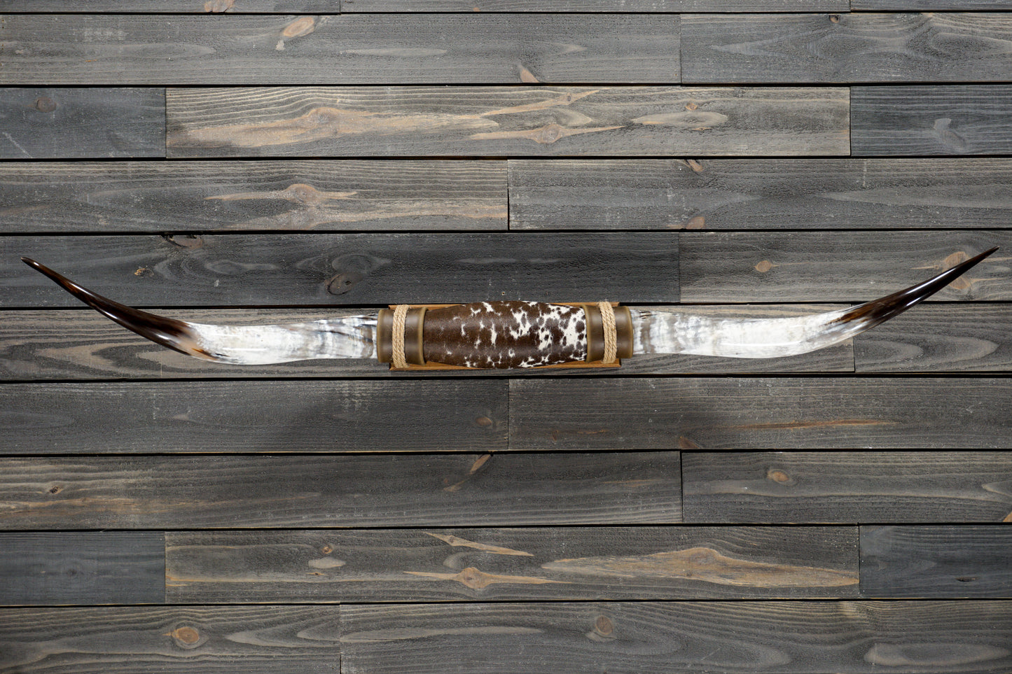 5' 3" Longhorn Wall Mount #316